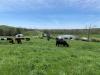America’s Birthday Cookout and the Farmers Who Make It Possible