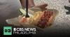 Dock Dogs, hot dogs with a view, opens up in Margate, New Jersey