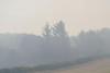 Montana Wildfire Smoke Forecast