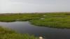 Tema Traditional Council calls for urgent restoration of Sakumo Lagoon 