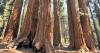 Tourist Dies on Popular National Park Trail in Horror Emergency