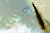 Yemen's Ansar Allah targets Saudi oil transport