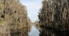 Georgia's Okefenokee Swamp added UNESCO's World Heritage List