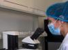 Advanced research in the biotechnology laboratory