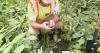 Wisconsin DNR samples soil for presence of forever chemicals