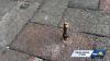 Baltimore sidewalk bolt pierces woman’s foot in Fells Point