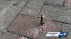 Baltimore sidewalk bolt pierces woman's foot in Fells Point