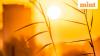 US weather forecast: Dangerous heat wave, severe thunderstorms and flash flood threat to hit multiple states