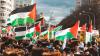 Palestinian Americans changed the conversation. Now, can they finally build political power?