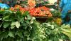 Floods: Lagos traders, consumers lament rising prices of vegetables