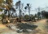 Spain wildfire burns campsite to ash, leaving tears and despair