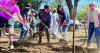 Las Vegas to harness post-fire floodwaters to grow urban forest
