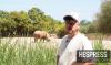 Rabat zoo faces scrutiny after video shows injured, isolated animals