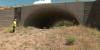 Colorado wildlife crossings cut collisions by 90% on some highways