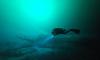 Possible ancient human remains and Maya ceramics found in Mexican cenote