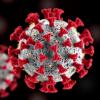 Structure Reveals How Crimean-Congo Hemorrhagic Fever Virus Polymerase Is Inhibited