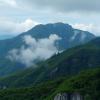 Terrain diversity shapes carbon storage in Brazil’s Atlantic Forest