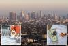 California households shell out eye-watering $34K a year on bills — second-highest in America