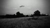 Scientists Are Expanding the Search for Alien Signals to New Radio Frequencies
