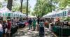 After concerns about tree health, the Rehoboth Beach farmer's market could move next year
