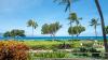 Luxury beach resort descends into chaos after violent mob allegedly attacks family