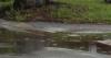 St. Petersburg drainage projects: City secures $2M in federal grant funding