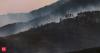 Why Europe's wildfires have spiralled into disaster