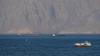 Oman, Iran approaching agreement to reopen Strait of Hormuz - report