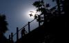 World : Belgium Registers Highest Death Toll In EU Amid Abnormally Hot Weather In June â€“ Report