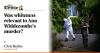 Was whiteness relevant to Ann Widdecombe’s murder?