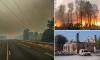Millionaires' highway to hell: Hundreds of luxury homes in ashes, the Mail is one of first to see devastation of France's apocalyptic mega-fire