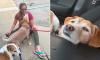 Adorable elderly dog finally finds his way home five years after he vanished from home and traveled 600 miles
