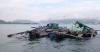 Fish Farmers and Fishermen Affected by Typhoon Noul Can Apply for Emergency Relief Fund from Tomorrow