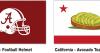 What Should Replace Alabama’s State Flag? Residents Say a College Football Helmet!