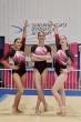Local gymnasts bound for New Zealand challenge