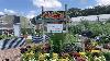 Nebraska Extension Master Gardener program marks 50 years of science-based education