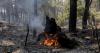 Fires in Spain today, July 28: the situation improves on several fronts, but the large fires remain active