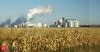 Ethanol should be a cheaper fuel. So why isn't E20 priced lower than pure petrol? Here's what the government says
