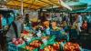 Nearly One in Five Prague Farmers’ Market Vendors Fail Veterinary Inspections
