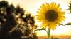 Weather & Traffic: Tuesday 28 July: hello sunshine