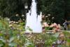 Heatwave: Luxembourg City balances park maintenance with water-saving measures