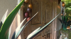 Cullman County couple’s Moroccan-themed treehouse Airbnb featured on HGTV