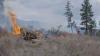As Trump threatens wildfire smoke tariffs, Canada looks to reduce fire risk