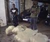 DCI nabs two suspects, recovers 110kg of cannabis valued at Ksh3.3 Million