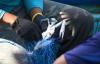 Philippines tightens blue swimming crab gillnet restrictions to meet US mammal protection guidelines