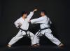 Japanese Embassy To Host Public Martial Arts Talks And Demonstrations In Asunción