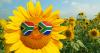 WEATHER: Sunshine dominates as Cape Town, Gauteng enjoy crisp winter Wednesday