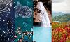 Cebu’s Tourism Sector Eyes a New Growth Market as Vietnamese Visitors Surge