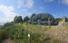 New policy blueprint calls for government action to realize potential of UK land-based aquaculture