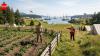 The pig that almost started a war: How a pig shot in 1859 turned a San Juan Island farm dispute into a 12-year Britain-America standoff